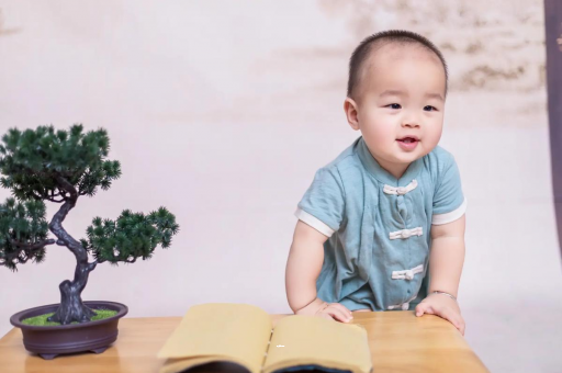 齐河可爱的企鹅宝宝